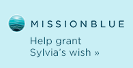 Help grant Sylvia's wish
