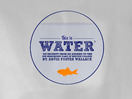 David Foster Wallace: This is water