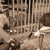 Member Picture