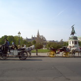 Member Picture