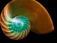 Nick Veasey: Exposing the invisible