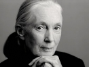 Jane Goodall Jane Goodall