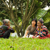 Member Picture