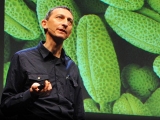 Talk image