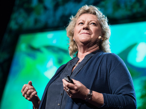 TED: Denise Herzing: Could we speak the language of dolphins? - Denise Herzing (2013)