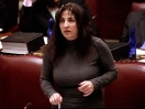 Diane J. Savino: The case for same-sex marriage