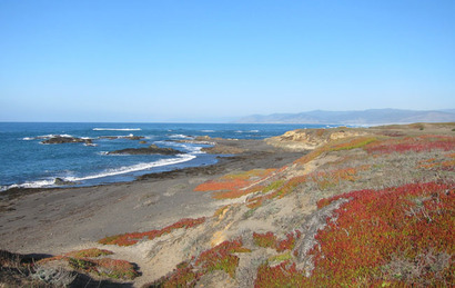 TEDxMendocino