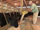 John Hubbell, Lance Murphey and Jonathan Kirkscey:The Fatted Calf