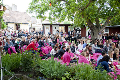 TEDxAlmedalen