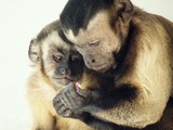 Talk image