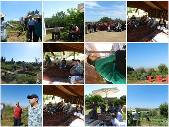 TEDxRabatSalon