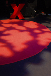 TEDxXallitic