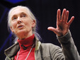 Jane Goodall: What separates us from chimpanzees?