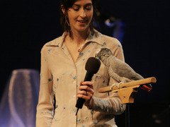 Einstein the Parrot talks and squawks