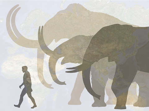 TED: Hendrik Poinar: Bring back the woolly mammoth! - Hendrik Poinar (2013)