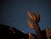 Karen Bass: Unseen footage, untamed nature