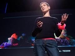 Margaret Wertheim: The beautiful math of coral