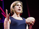 TED: Sarah-Jayne Blakemore: The mysterious workings of the adolescent brain - Sarah-Jayne Blakemore (2012)