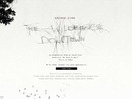 Google:The Wilderness Downtown