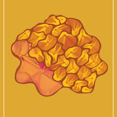 Member Picture
