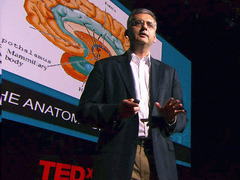 Andres Lozano: Parkinson's, depression and the switch that might turn them off
