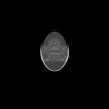 Member Picture