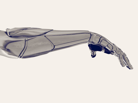 TED: Miguel Nicolelis: A monkey that controls a robot with its thoughts. No, really. - Miguel Nicolelis (2012)