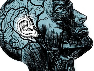 TED Talks Charles Limb是一位治療聽力受損和重建恢復聽力的醫師，專門執行人工耳蝸植入術。但同時身為一位音樂家，Limb認為現存技術所缺乏的，便是讓人能完全體驗音樂的能力(他在這裡提供了一個驚心動魄的例子)。在這個TEDMED年度大會上，他檢視了現在的技術和未來發展的方向。