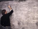 COMMON:a COMMON film