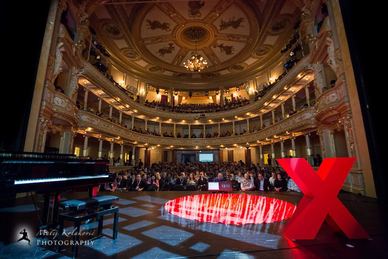 TEDxLjubljana