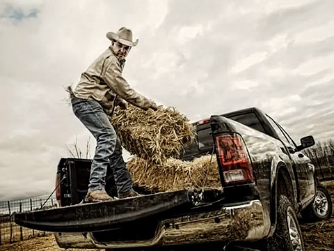 The Farmer