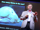 Paul Snelgrove: A census of the ocean