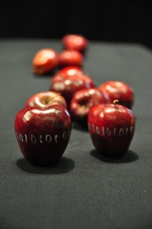 TEDxNYED