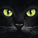 Member Picture