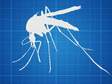 Hadyn Parry: Reingeniería de mosquitos para combatir la enfermedad.