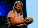 Jill Bolte Taylor's stroke of insight
