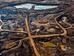 Garth Lenz: The true cost of oil