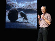 Marcus Byrne: The dance of the dung beetle
