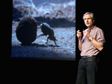 Talk image