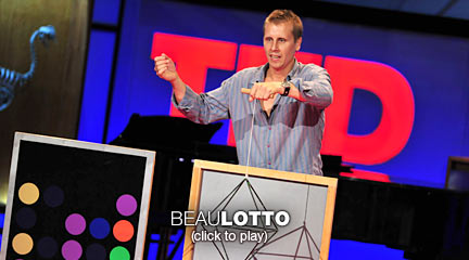 Beau Lotto's color games puzzle your vision, but they also spotlight what you can't normally see: how your brain works.
